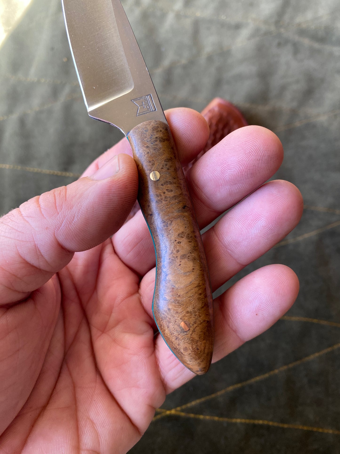 Stainless edc fixed blade