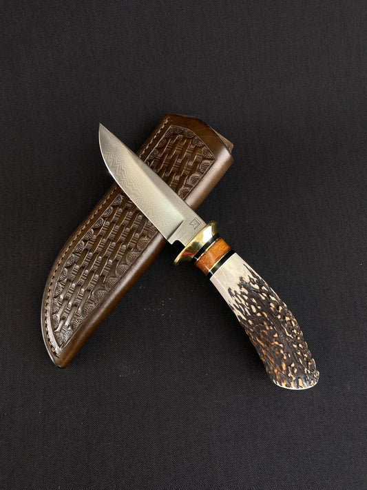 Stainless Damascus hunter