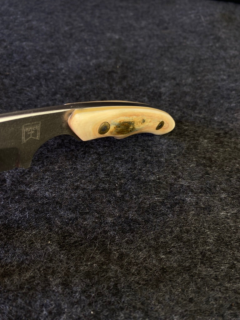 Magnamax edc in mammoth ivory