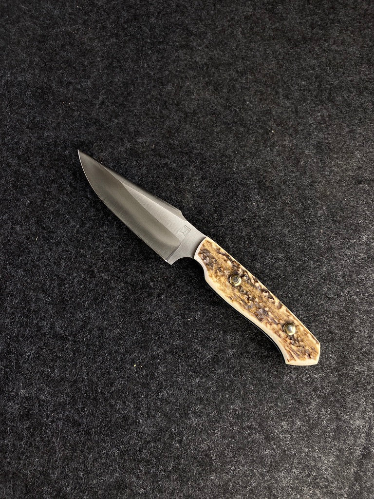stainless red stag hunter
