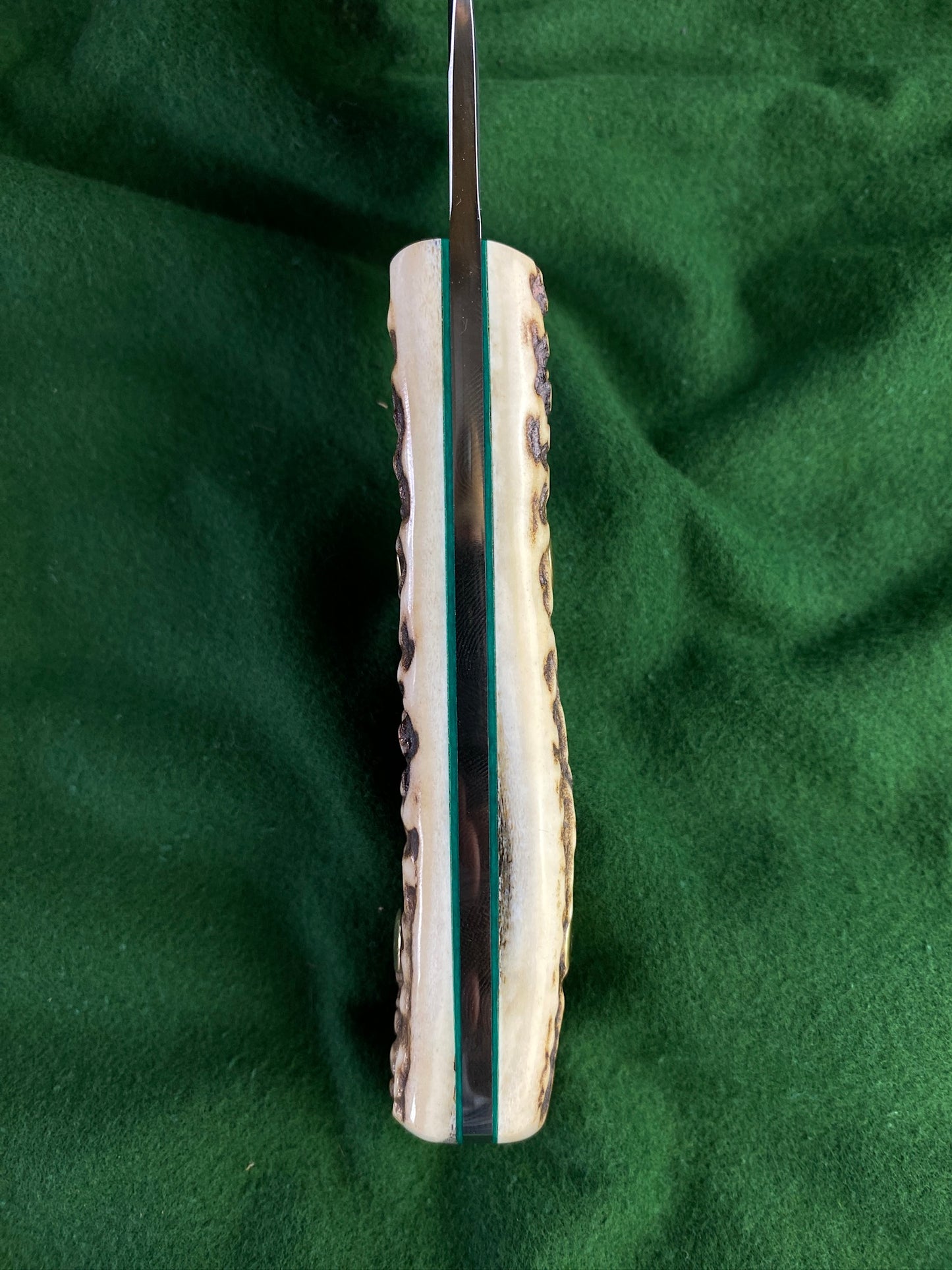 stainless red stag hunter