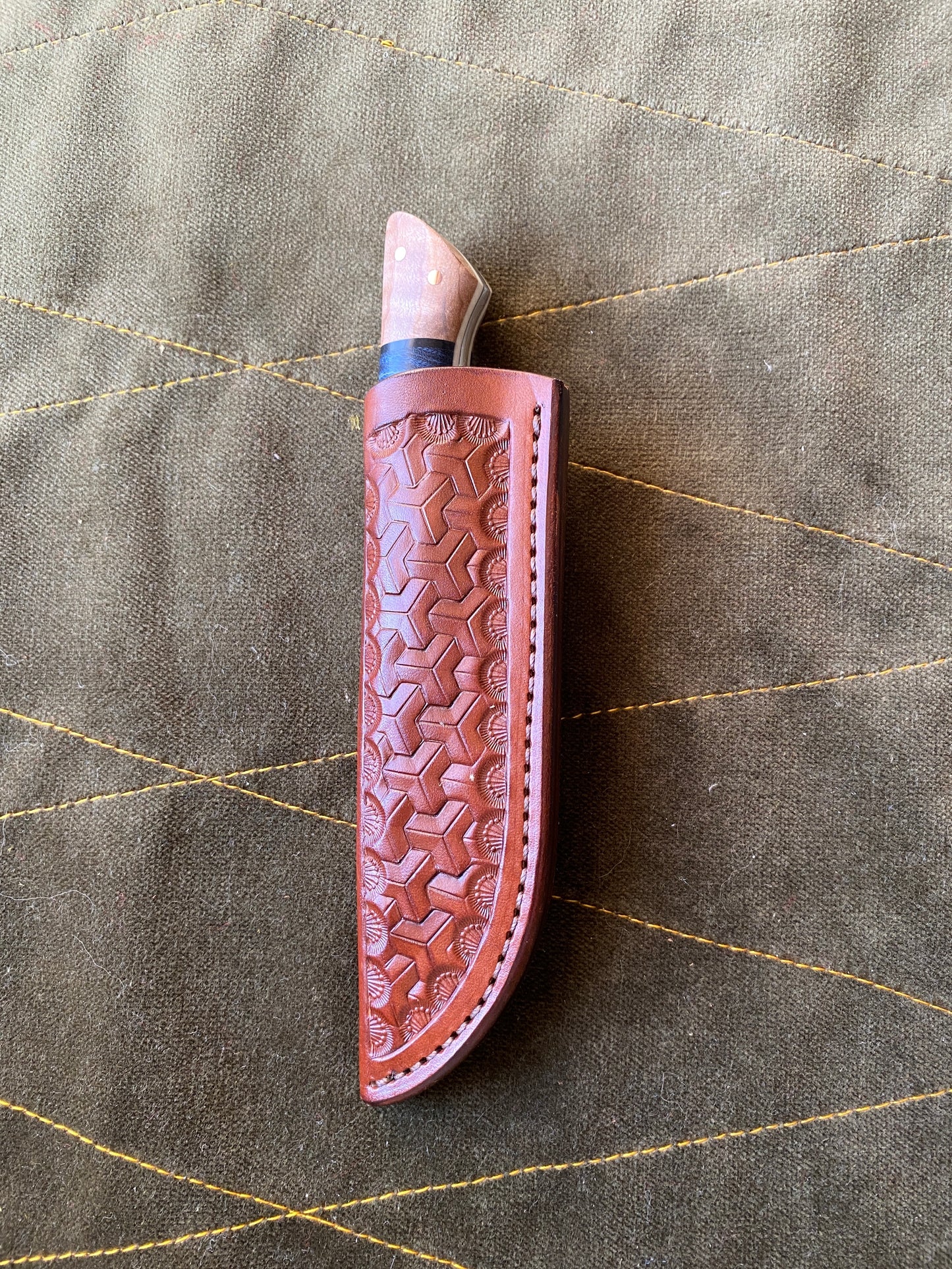 Steelhead edc