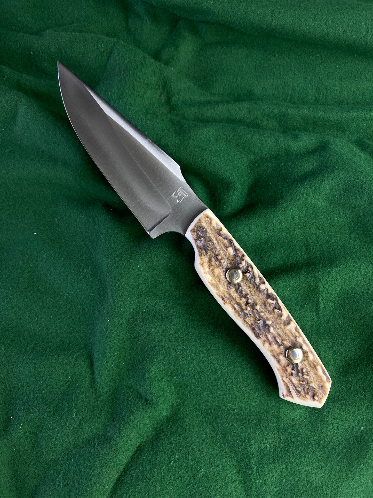 stainless red stag hunter