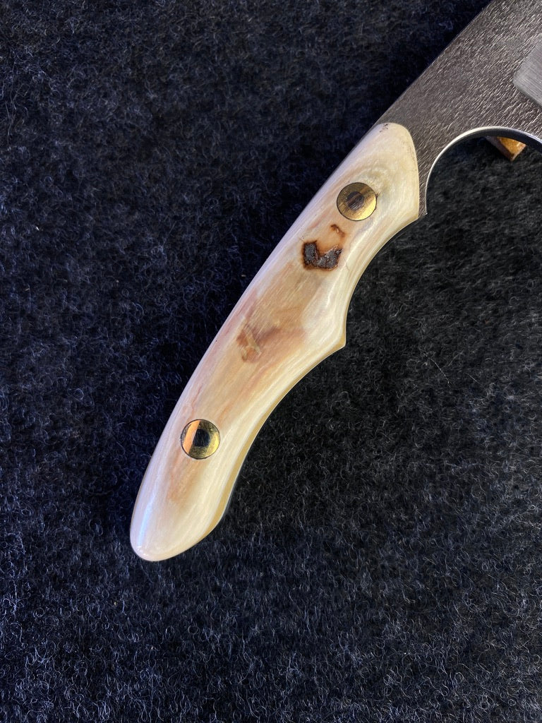 Magnamax edc in mammoth ivory