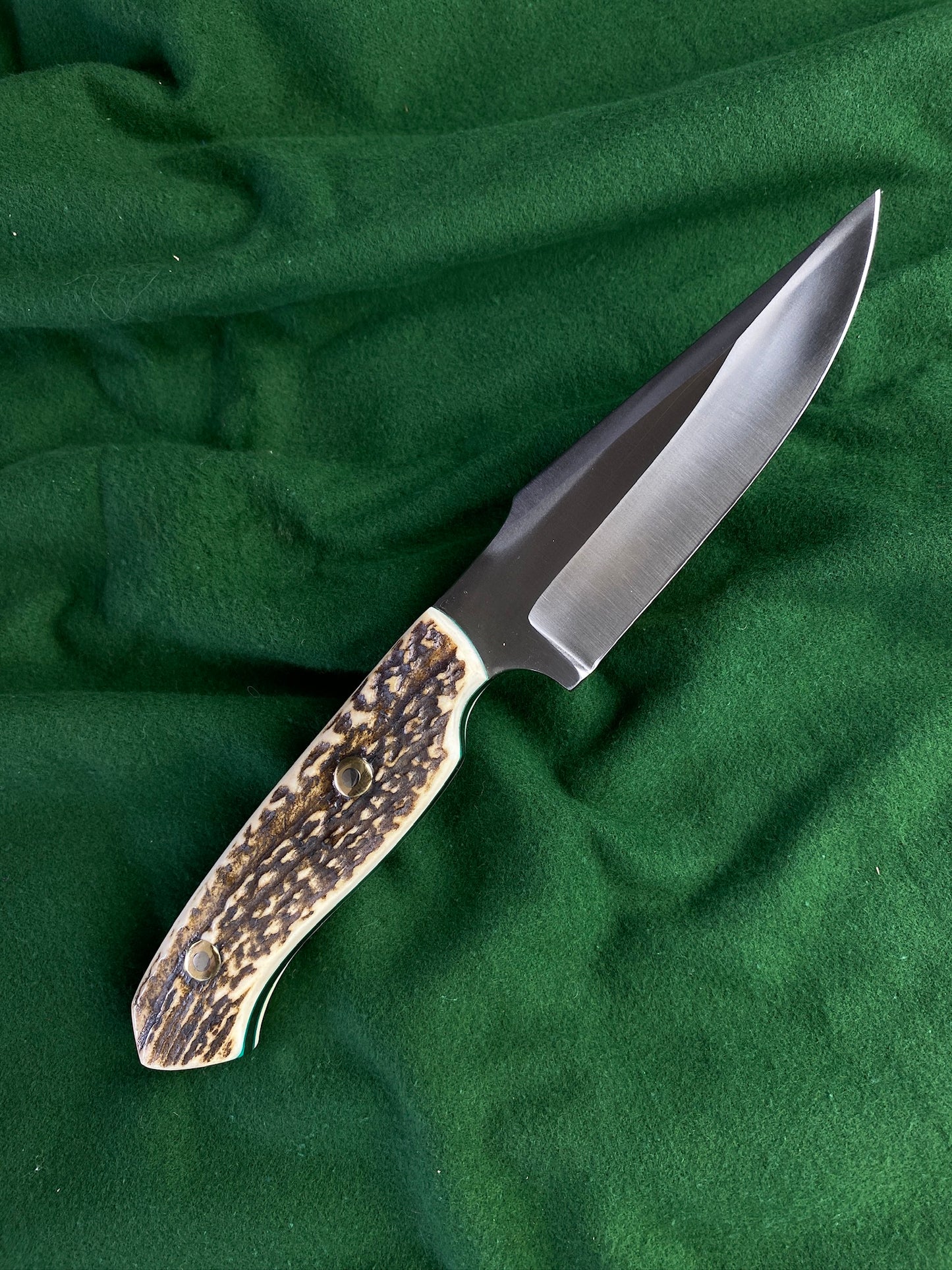 stainless red stag hunter