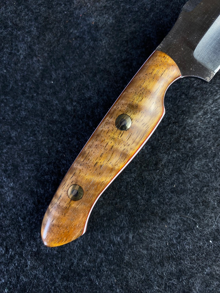 stainless hunter in curly mango