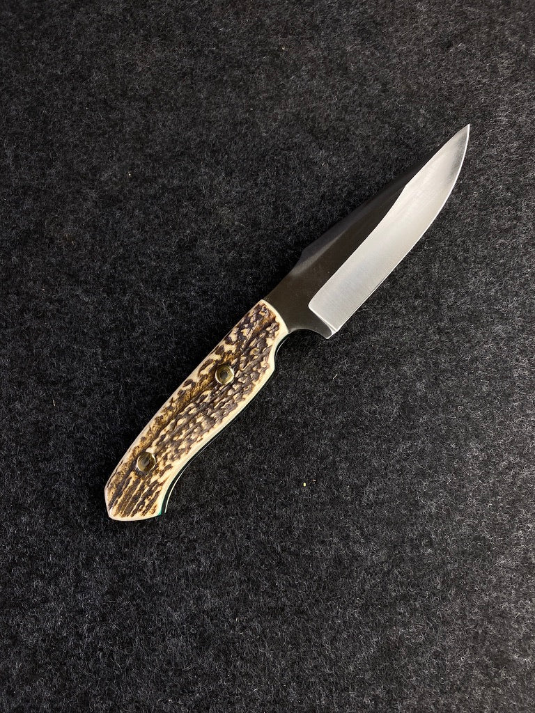 stainless red stag hunter