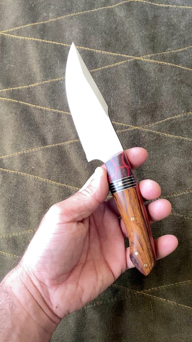 Stainless clip point belt knife