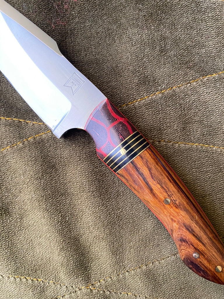Stainless clip point belt knife