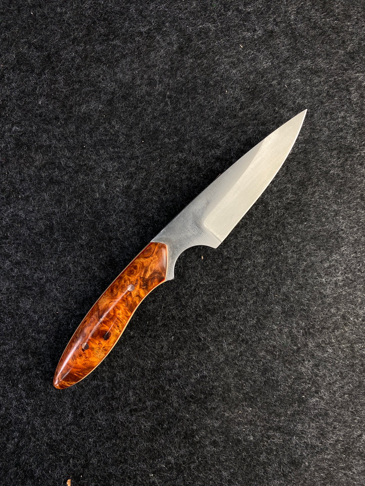 Stainless pocket edc in amboyna burl