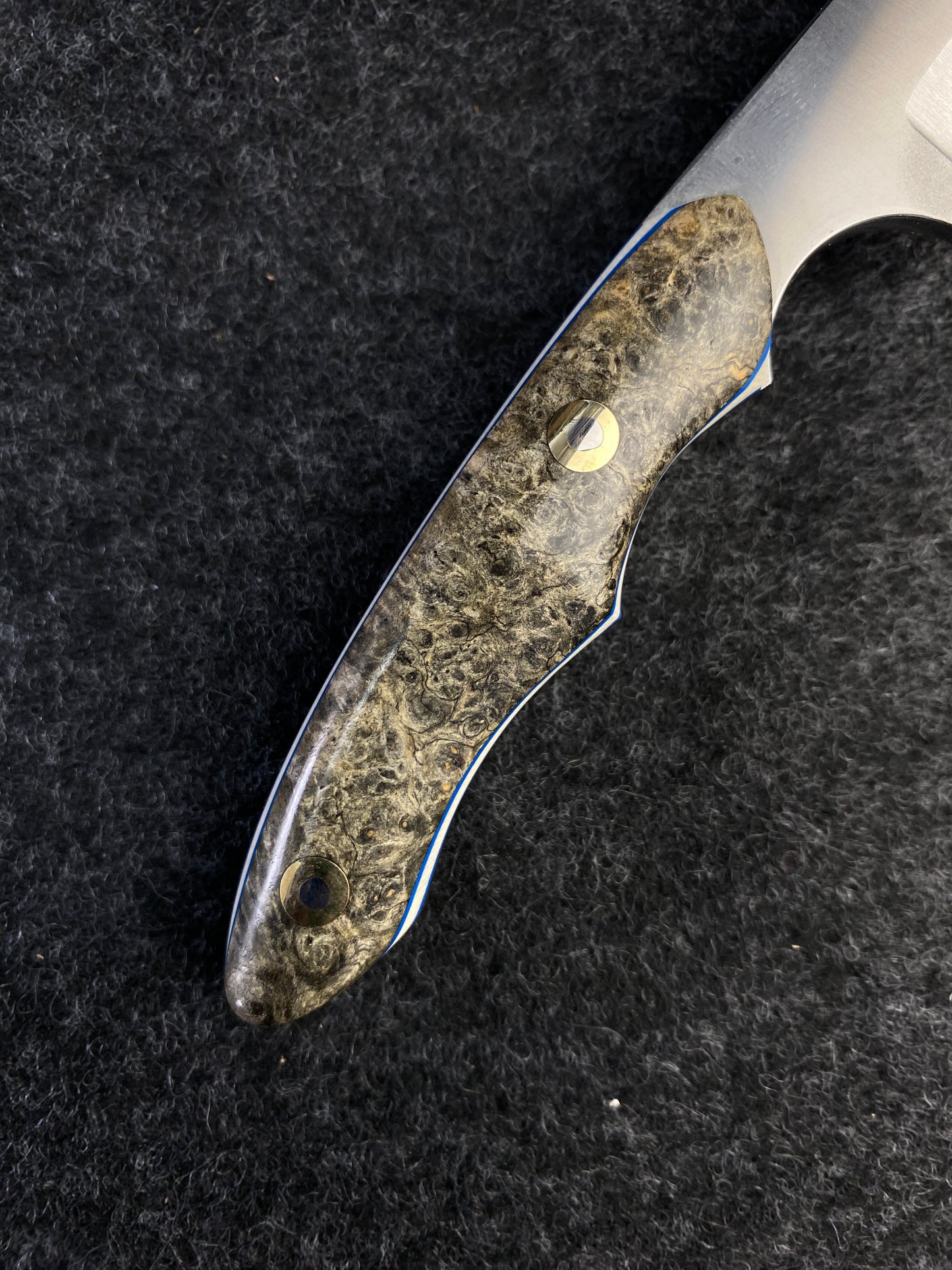 Stainless EDC in Black Amboyna burl